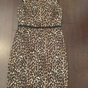 Leopard Loft dress  size  0P